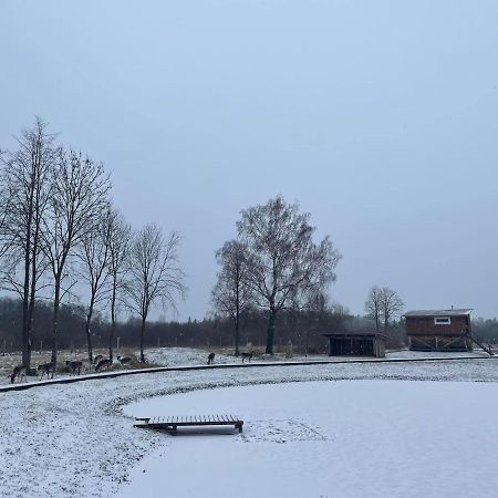 KurkliaiArciau Gamtos Anyksciai别墅 外观 照片