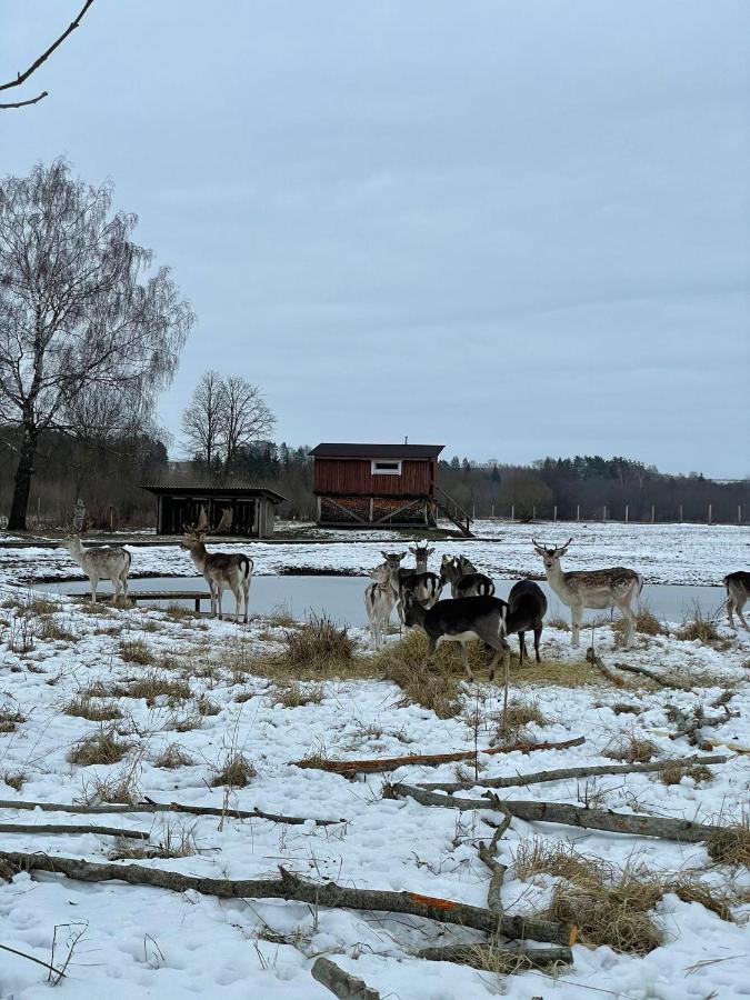 KurkliaiArciau Gamtos Anyksciai别墅 外观 照片